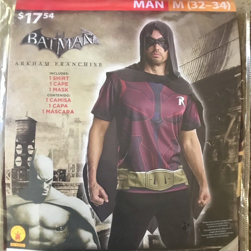 Batman Robin costume